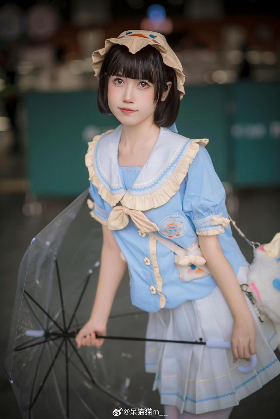 通过不呆猫图片感受摄影的魅力，它们如此的真实